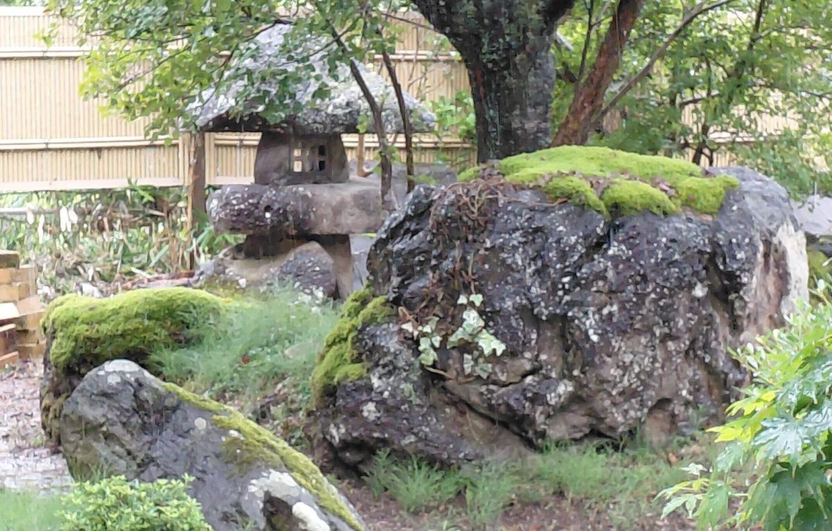 新潟の庭に立つ石灯籠と木々の景色。庭づくりと民泊計画の始まりを象徴する一角。