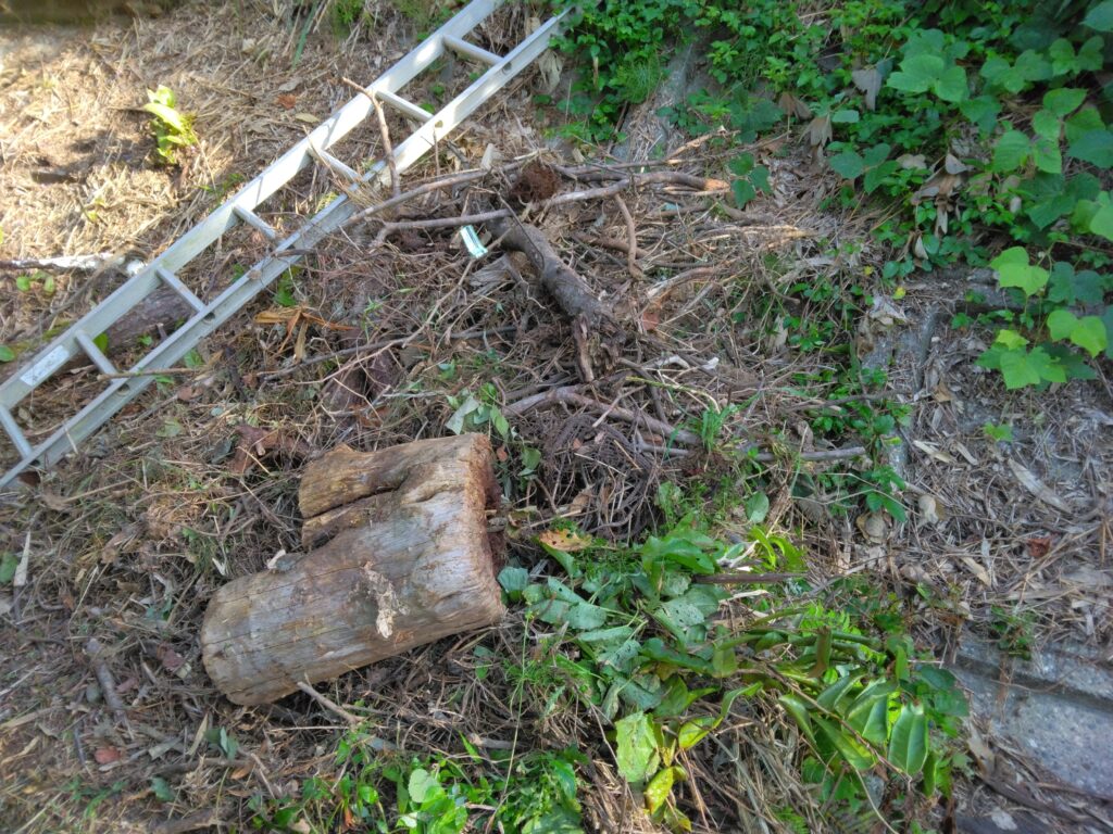 畑近くに集めた伐採した枝木と切り株、周囲には脚立や雑草の山