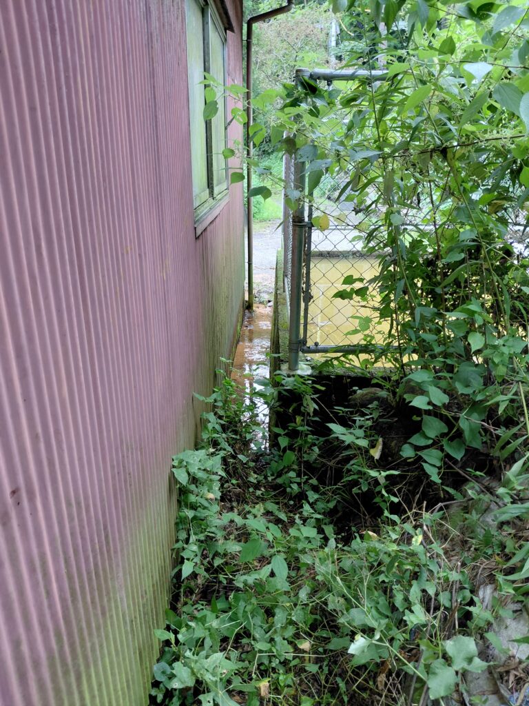 防火水槽裏側から見た湧水の様子。左側の建物は我が家の車庫です。