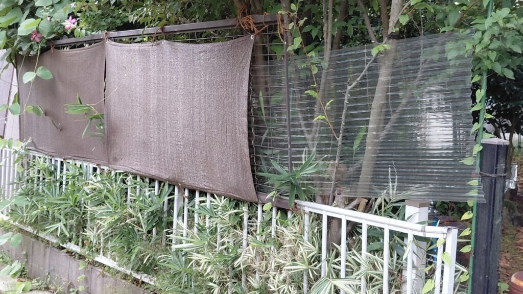 格子フェンスにサンシェードと透明波板を組み合わせた目隠しDIY