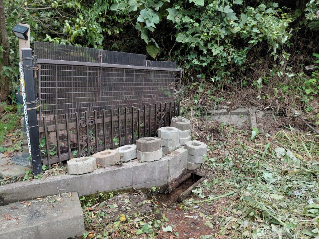 草刈り後で整備された東側入り口前