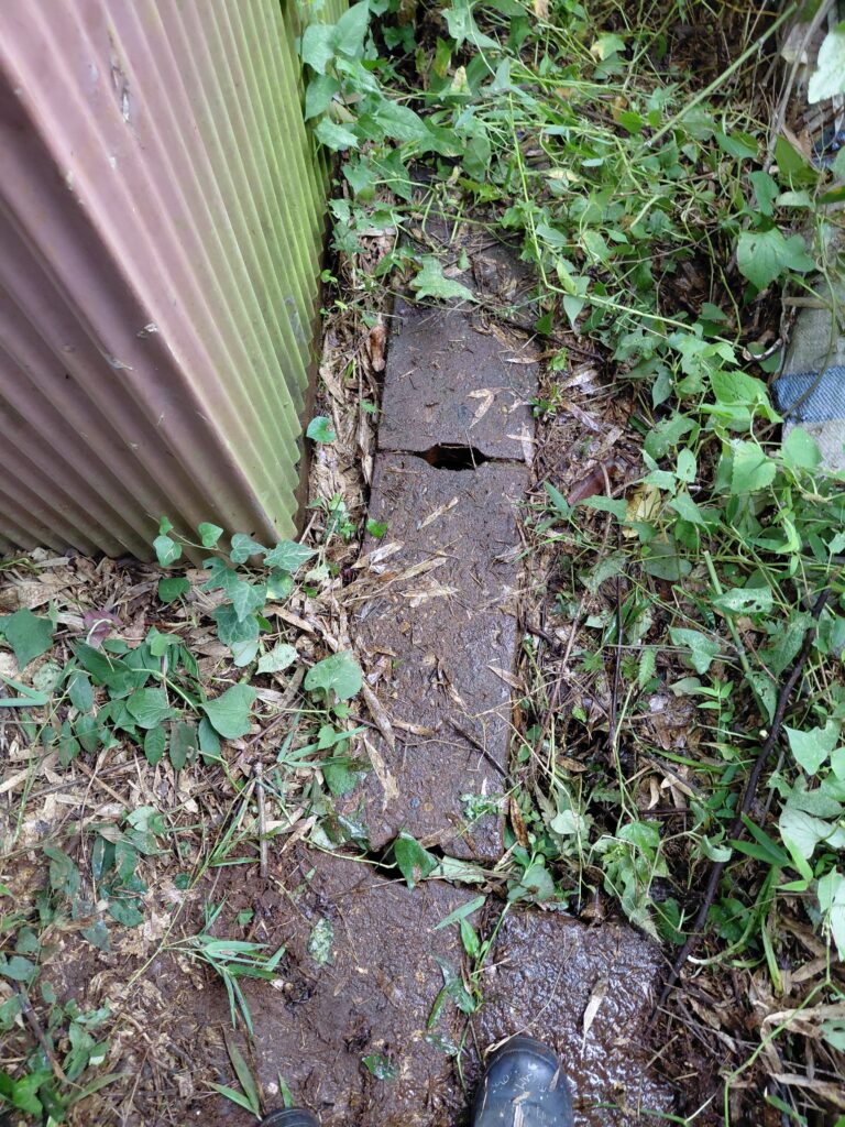 草取りで散乱している草木と落ち葉をどかしたら、車庫と防火水槽の間にある細い水路が顔を出しました。