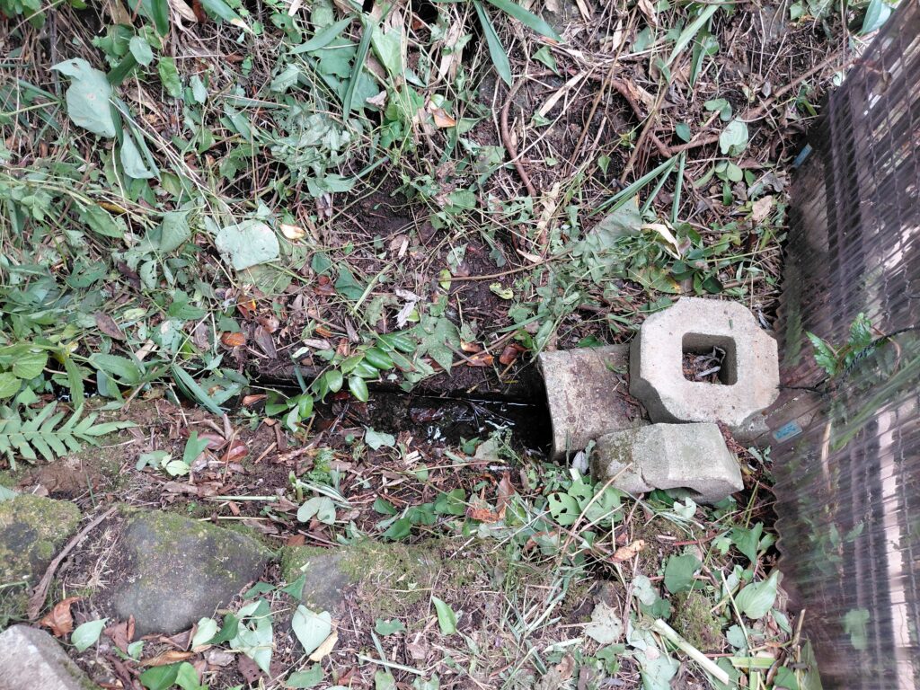 草刈り後に姿を現した側溝と水の流れ