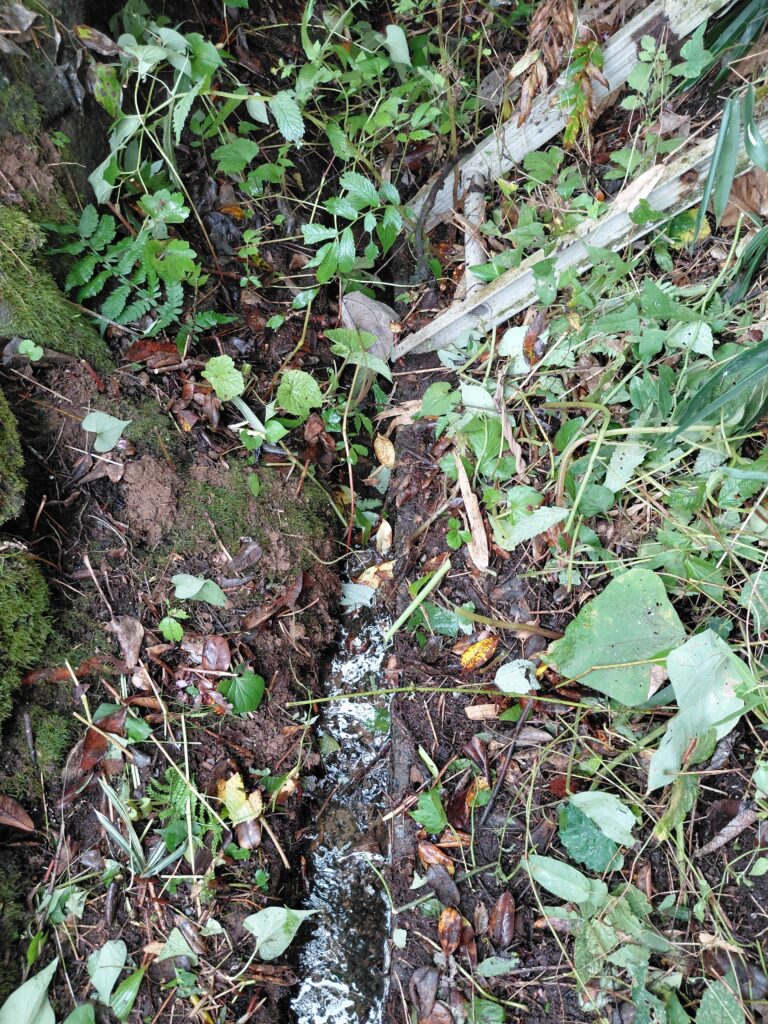 はしごと並ぶきれいに整備された側溝