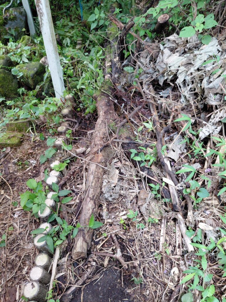伐採した木材や枯れ枝が積み上がった裏庭