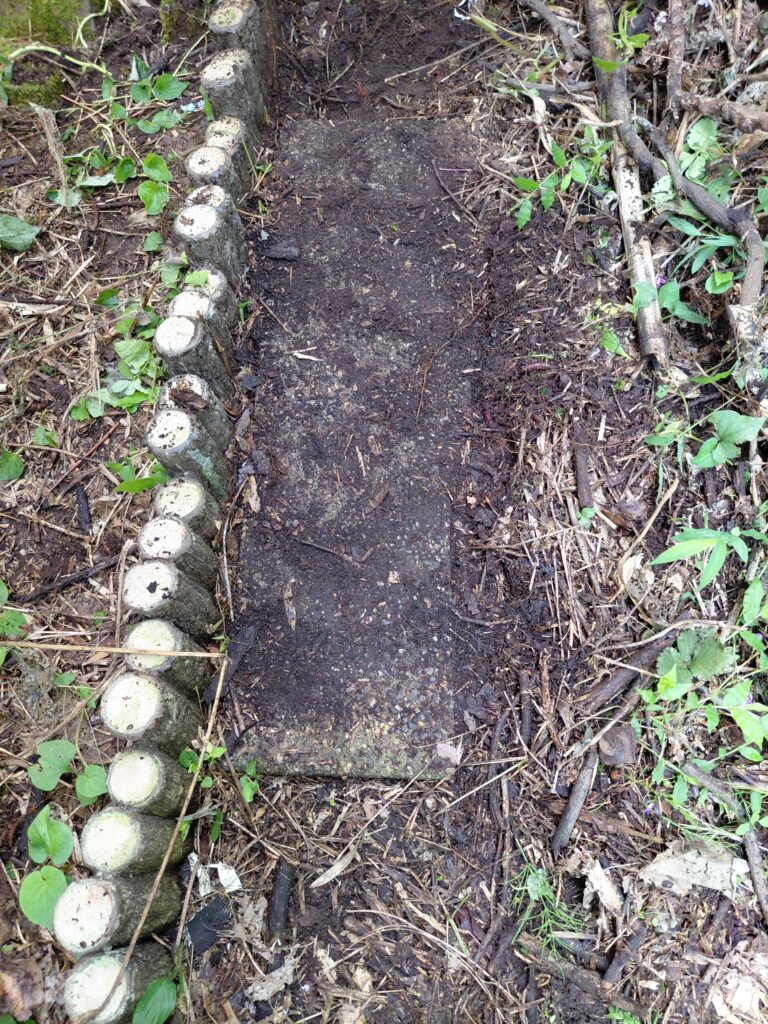 草木を除去して見えるようになった裏庭の水路