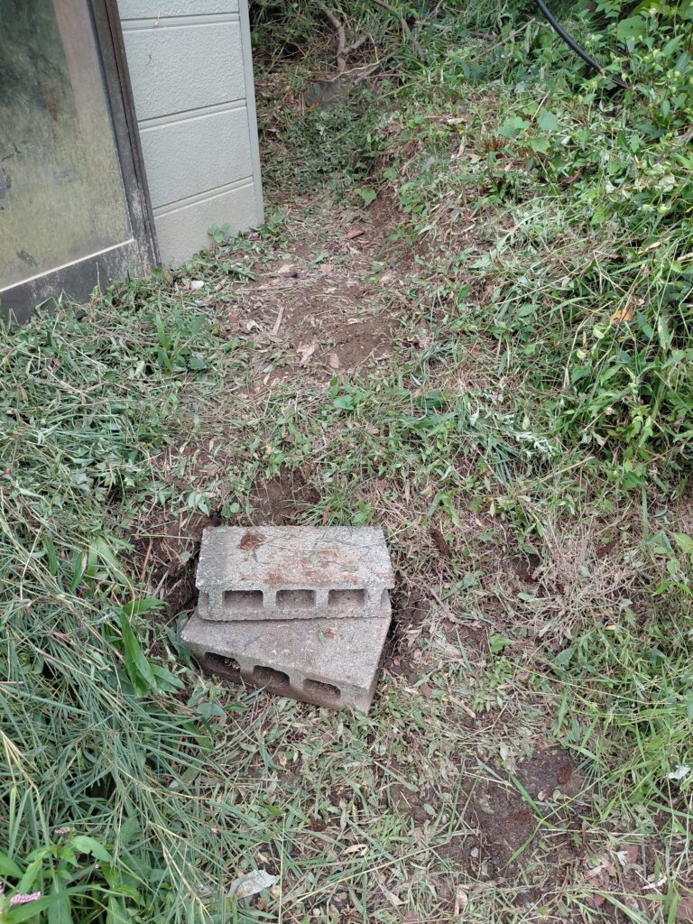 草刈り後に整備された裏車庫まわり