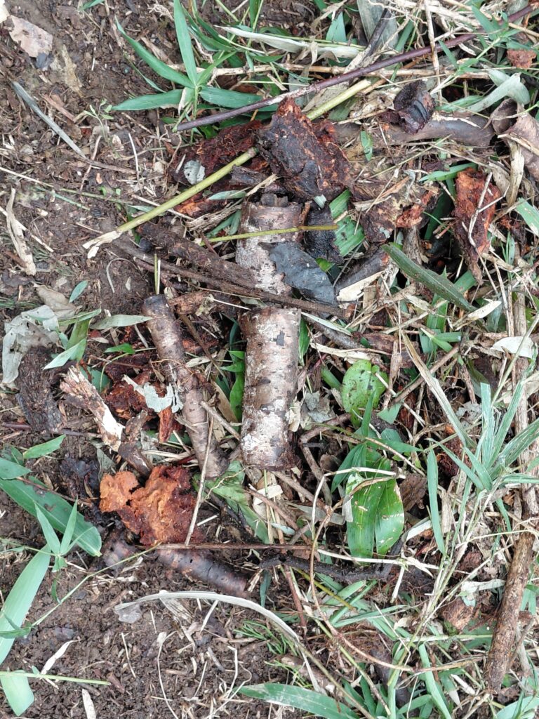 細枝や樹皮を混ぜた堆積