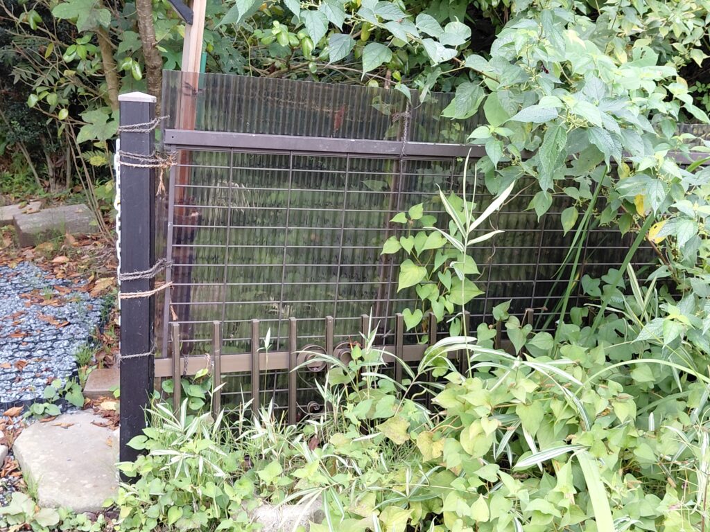 東側ゲートに透明波板を取り付けた様子