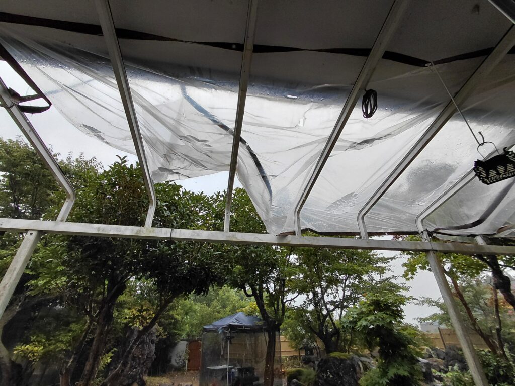 風で破れた透明タープの庇（ひさし）