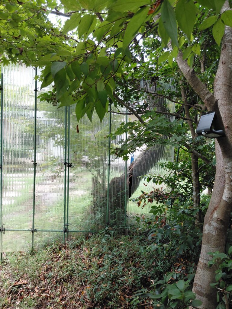 透明波板を斜めに設置して外からの視線を遮る目隠し