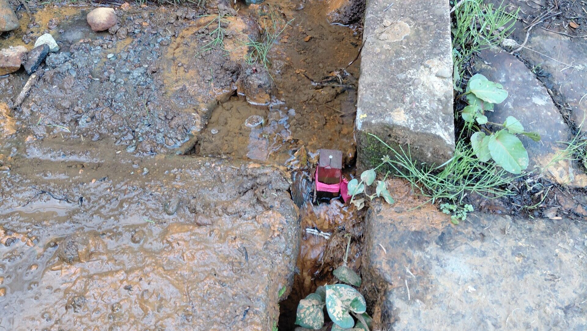 手前の新しく打たれた赤い杭から、奥のコンクリート斜面の途中に打たれたピンクのひもがついた釘へと斜めに続いている境界線。