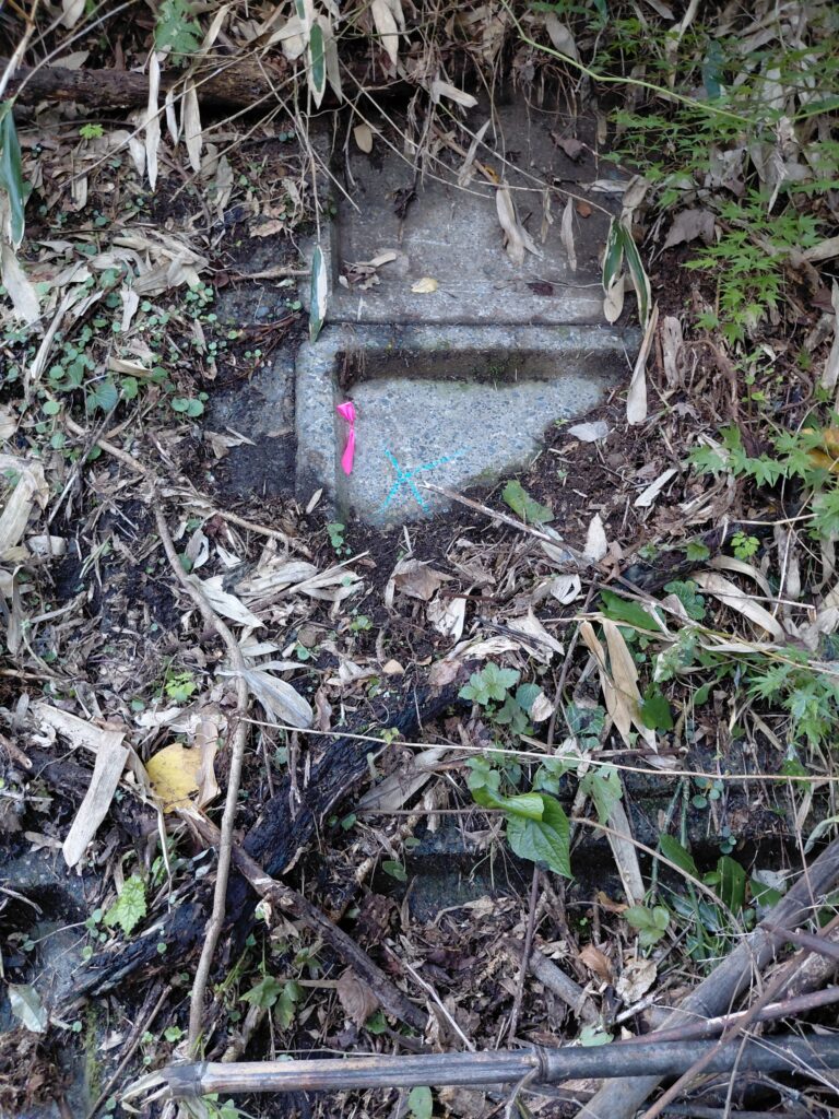 山側のコンクリート斜面に打たれた釘とピンクの目印テープ